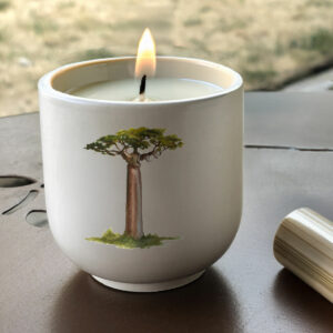 Bougie artisanale Baobab géant de Madagascar en pot naturel fait main et illustration exclusive - Création Mon Carré Créatif.