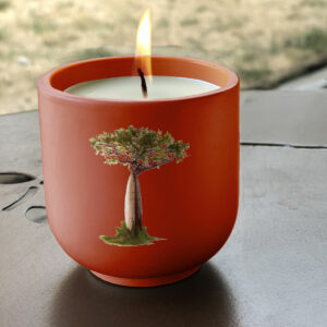 Bougie artisanale Baobab Malgache en pot brique fait main et illustration exclusive - Création Mon Carré Créatif.