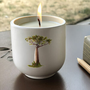 Bougie artisanale Baobab Malgache en pot naturel fait main et illustration exclusive - Création Mon Carré Créatif.