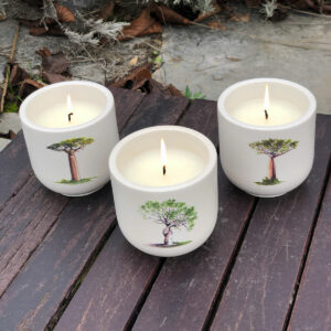 Lots de 3 Bougies artisanales Baobabs de Madagascar en pots écrus faits main. Les bougies sont allumées et vues du dessus. Illustrations exclusives - Création Mon Carré Créatif.