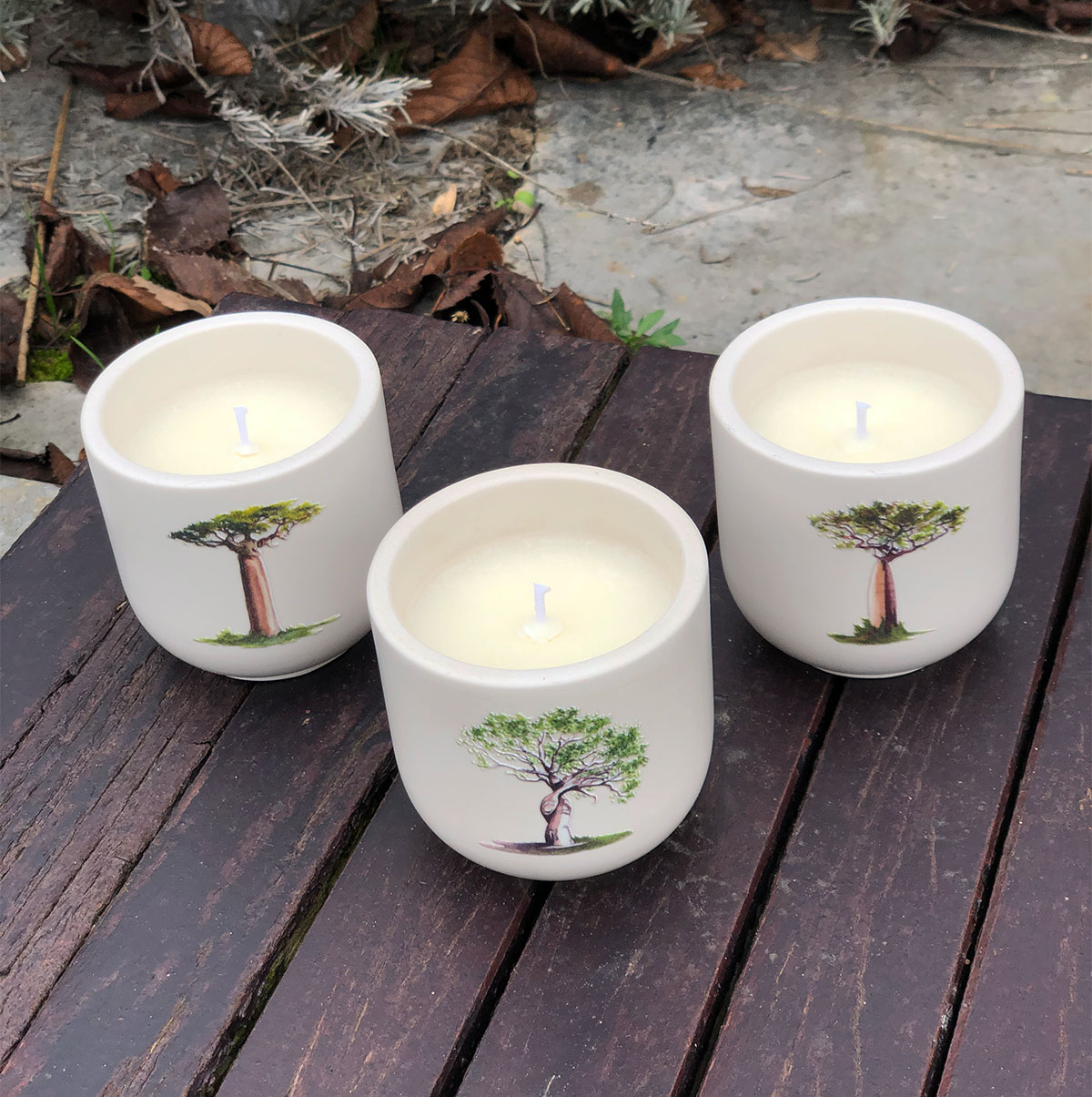 Lots de 3 Bougies artisanales Baobabs de Madagascar en pots écrus faits main. Les bougies sont éteintes et vues du dessus. Illustrations exclusives - Création Mon Carré Créatif.